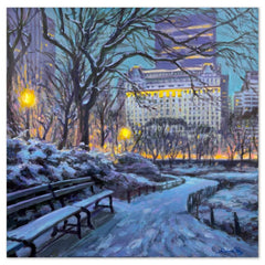 At the Plaza, Winter