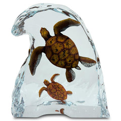 Sea Turtles