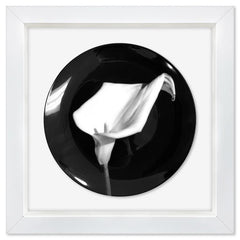 Calla Lily (1987)