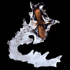 Spirit Flight