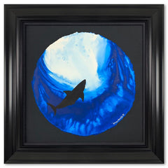 Solitary Shark