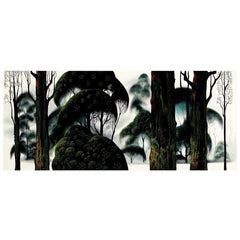 Forest Magic