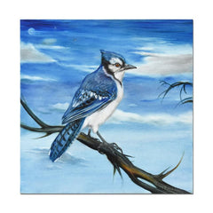 Blue Jay Blue