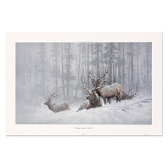 Mountain Majesty (Bull Elk, NRA Edition)