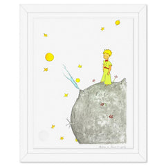 The Little Prince On Asteroid B-612