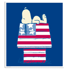 Stars and Stripes and Sleep