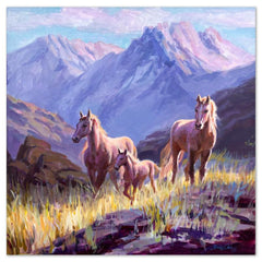 Rocky Mountain Pass