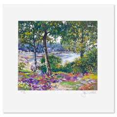 Enchanted Coast