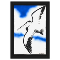Pelican