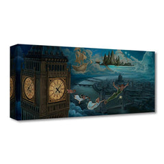 A Journey to Neverland
