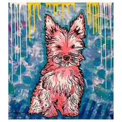 Pink Yorkie