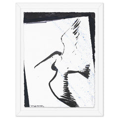 Pelican