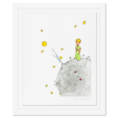 The Little Prince On Asteroid B-612