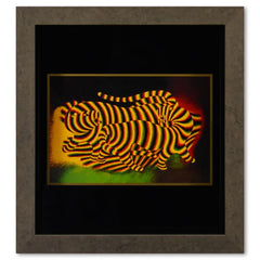 Tigres de la serie Graphismes 3