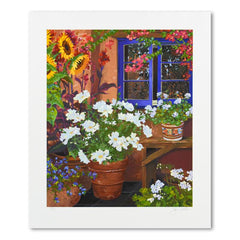 Geraniums