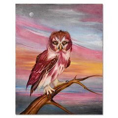 Little Owl