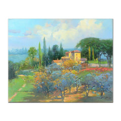 The Olive Grove
