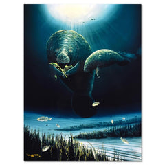 Save the Manatees