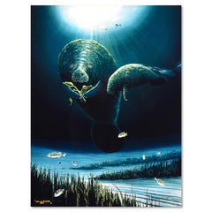 Save the Manatees