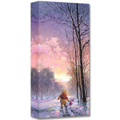 Snowy Path