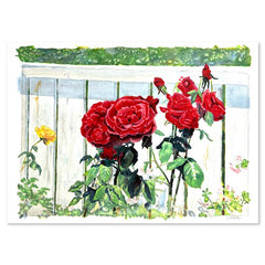 Roses