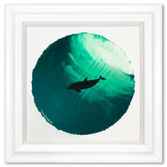 Dolphing Diving Deep