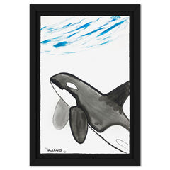 Orca