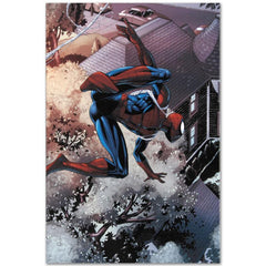 The Amazing Spider-Man Family #7