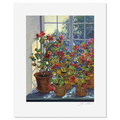 Geraniums