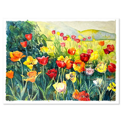 Tulips
