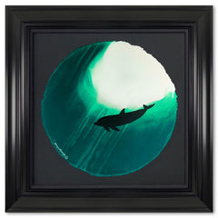 Dolphin Glide