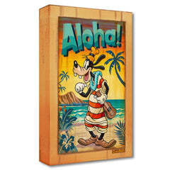 A Goofy Aloha