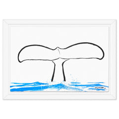 Whale Tail