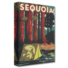 Sequoia