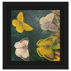 Butterflies