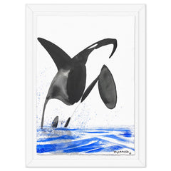 Orca