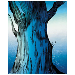 Eucalyptus