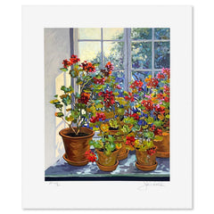 Geranium