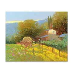 Daisy Garden